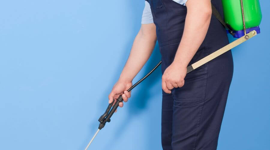 Why choose Ant Control Forrestridge for ant control in Forrestridge